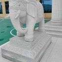 齐齐哈尔 白麻花岗岩动物异形石雕-大象