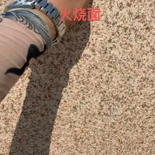 齐齐哈尔黄金麻火烧面